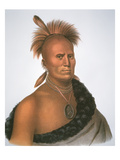 Chief Sharitarish, 1821 (Colour Litho) Giclee Print by Charles Bird King