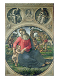 Madonna and Child, 1490-95 (Oil on Panel) Giclee Print by Luca Signorelli
