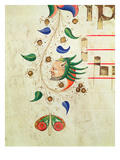 Missal 515 F.72V Zoomorphic Foliate Border, Detail from a Choir Book Executed before 1449 (Vellum) Giclee Print by Filippo Di Matteo Torelli