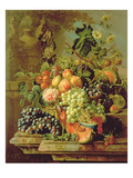 Still Life of Fruit Giclee Print by Johannes Hendrick Fredriks