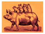 Pig with its Piglets, Illustration from 'Cole's Funny Picture Book' (Digitally Enhanced Image) Reproduction procédé giclée par  English