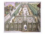 The Garden of Burgermeister Schwind, from 'Florilegium Renovatum', by Theodore De Bry (1528-98) Giclee Print by Mattaus The Younger Merian