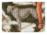 Leopard Straining on a Leash, Detail from the Journey of the Magi Cycle in the Chapel, C.1460 Giclee Print by Benozzo di Lese di Sandro Gozzoli