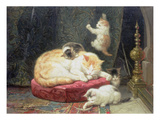 Fireside Bliss (Oil on Panel) Giclée-Druck von Henriette Ronner-Knip