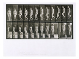 Woman Descending Steps, Plate 137 from 'Animal Locomotion', 1887 (B/W Photo) Reproduction procédé giclée par Eadweard Muybridge