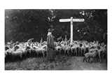 Picturesque War-Work: the Lady Shepherd, from 'The Illustrated War News', 5th July 1916 (B/W Photo) Reproduction procédé giclée par  English Photographer