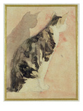 Study of a Cat (W/C on Paper) Reproduction procédé giclée par Gwen John