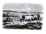 Illustration from 'The Devil's Pool' by George Sands, 1851 (Engraving) Reproduction procédé giclée par Tony Johannot