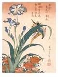 Kingfisher, Irises and Pinks (Colour Woodblock Print) Giclee Print by Katsushika Hokusai