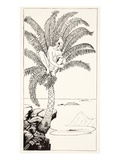 Pestonjee Bomonjee Sitting in His Palm-Tree and Watching the Rhinoceros Strorks Bathing Giclee Print by Joseph Rudyard Kipling