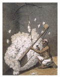 Carding Cotton from 'Voyages Aux Indes Et a La Chine', 1782 (Coloured Engraving) Reproduction procédé giclée par Pierre Sonnerat