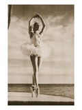 Rosella Hightower in Swan Lake, from 'Grand Ballet De Monte-Carlo', 1949 (Photogravure) Giclée-Druck von  French Photographer