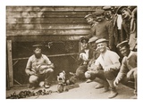 Some of the Prisoners' Pets, Dorchester, Illustration from 'German Prisoners in Great Britain' Giclee Print by  English Photographer