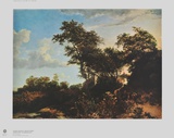Landscape in the Gloaming Collectable Print by Jacob Ruisdael