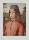 Portrait of a Boy Collectable Print by Pinturicchio 