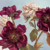 Peony Print by Paul Mathenia