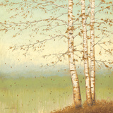 Golden Birch II with Blue Sky Posters by James Wiens