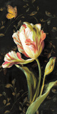 Jardin Paris Florals II Prints by Danhui Nai