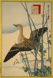 Snipe, Smooth Cane and Morning Glory Prints by Sugakudo 