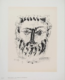 Faun (frontal view) Collectable Print by Pablo Picasso