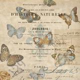 Papillon II Affiches par Deborah Devellier
