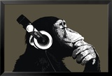 The Chimp-Stereo Foto