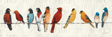 The Usual Suspects (Birds on a Wire) Poster by Avery Tillmon