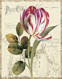 Garden View II Prints by Lisa Audit