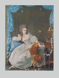 Lady with Dog and Birdcage Collectable Print by Thomas Gainsborough