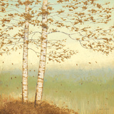 Golden Birch I with Blue Sky Art by James Wiens