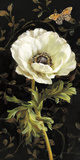 Jardin Paris Florals I Poster by Danhui Nai