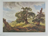 Oak Trees on the Seashore Collectable Print by Carl Gustav Carus