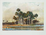 The Grove Collectable Print by Winslow Homer