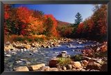 Ruisseau à l'automne Posters