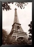 Eiffel Tower in Spring Poster von Jonathan Larsen