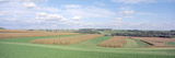 Corn and Alfalfa Fields, Green County, Wisconsin, USA Photographic Print by Panoramic Images 