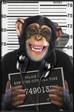 Chimp-Mugshot Posters