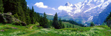 Alpine Scene Near Murren Switzerland Photographie par Panoramic Images 