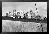 Cats On Girder- Pósters Cats On Girder- Pósters