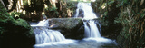 Waterfalls Hilo HI Photographie par Panoramic Images 