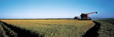 Harvested Rice Field Glenn Co CA USA Photographic Print by Panoramic Images 