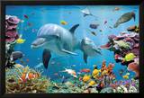 Tropical Underwater-Ocean Foto