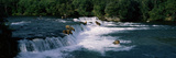 Bears Fish Brooks Fall Katmai AK Photographic Print by Panoramic Images 
