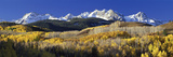 USA, Colorado, Rocky Mountains, Aspens, Autumn Photographic Print by Panoramic Images 