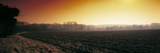Plowed Fields in Winter at Sunset, Norfolk, England Photographic Print by Panoramic Images 
