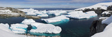 Icebergs Floating in the Sea, Petermann Island, Antarctica Photographic Print by Panoramic Images 