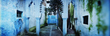 Painted Wall of Medina, Chefchaouen, Morocco Fotografie-Druck von Panoramic Images 