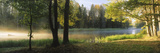 Fog over a River, Dal River, Sweden Photographic Print by Panoramic Images 