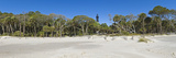 Lighthouse in a Park, Hunting Island State Park, Beaufort, South Carolina, USA Photographic Print by Panoramic Images 
