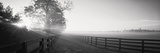 Ranch at Dawn, Woodford County, Kentucky, USA Photographie par Panoramic Images 